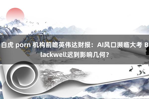 白虎 porn 机构前瞻英伟达财报：AI风口濒临大考 Blackwell迟到影响几何？