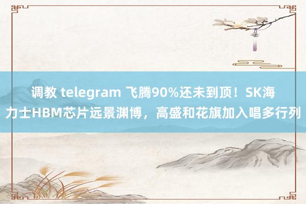 调教 telegram 飞腾90%还未到顶！SK海力士HBM芯片远景渊博，高盛和花旗加入唱多行列