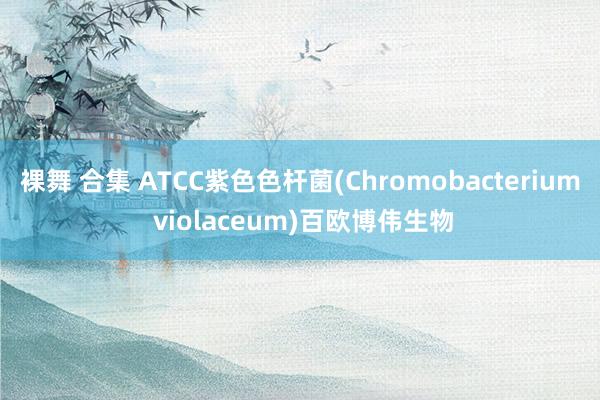 裸舞 合集 ATCC紫色色杆菌(Chromobacterium violaceum)百欧博伟生物