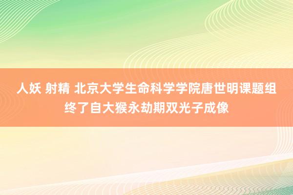 人妖 射精 北京大学生命科学学院唐世明课题组终了自大猴永劫期双光子成像